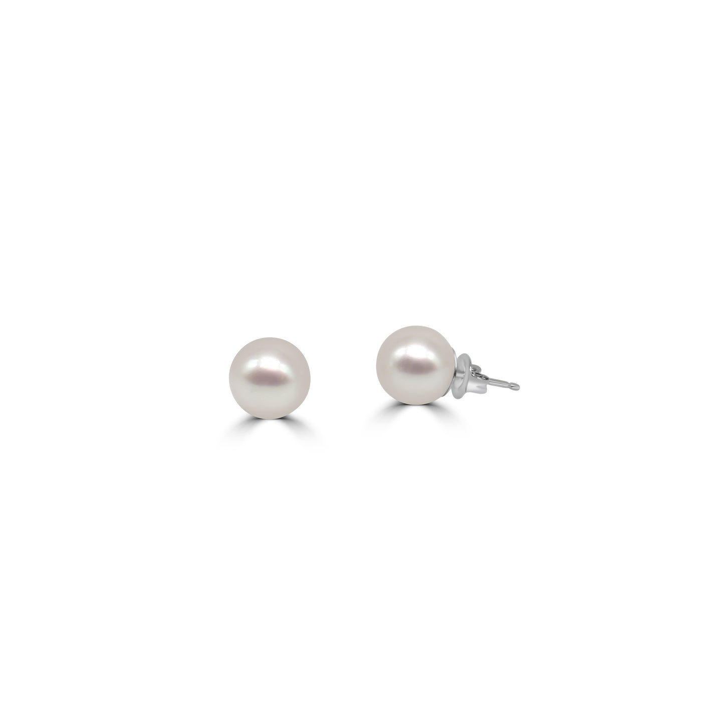 Pearl Studs